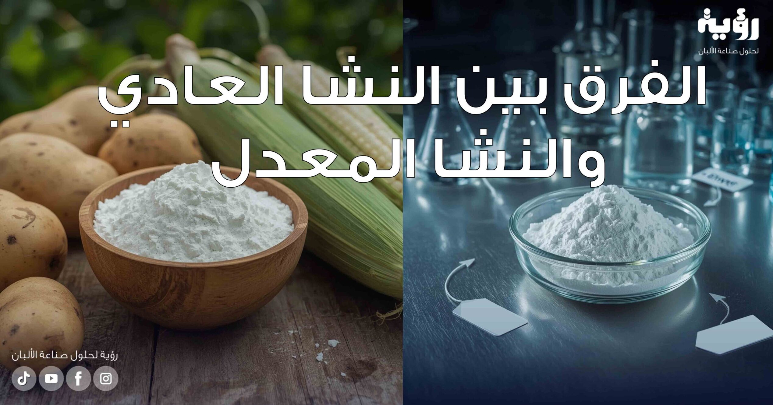 الفرق بين النشا العادي والنشا المعدل؟ - رؤية لحلول صناعة الألبان